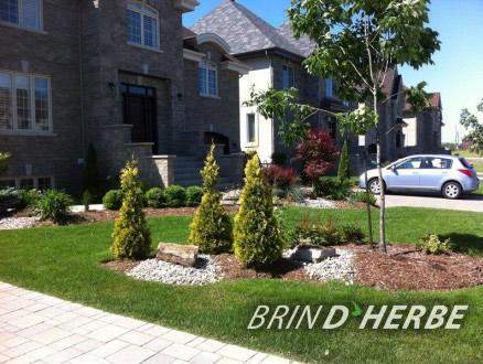 Shrub Trimming in La Prairie