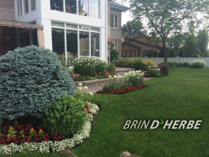 Tonte de pelouse La Prairie