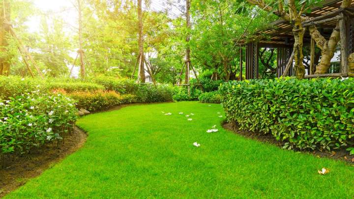 Aménagement de jardins La Prairie